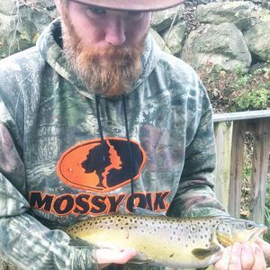 Meet your Posher, Brett